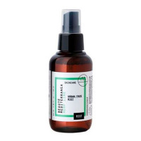 Міст для обличчя з ефектом 3 в 1 Urban Face Mist Beauté Mediterranea, 100 мл