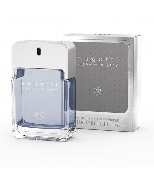 Bugatti Туалетная вода для мужчин Signature Grey, 100 мл