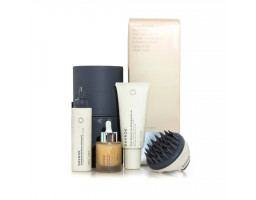 Набір продуктів для догляду за шкірою голови та волоссям DAVROE Scalp Remedy Spa Pack (зі щіткою для волосся)