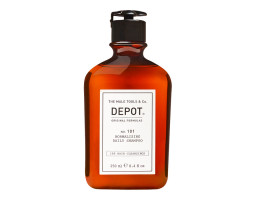 Шампунь для волосся, нормалізувальний, щоденний Hair Cleansings 101 Normalizing Daily Shampoo Depot, 250 мл