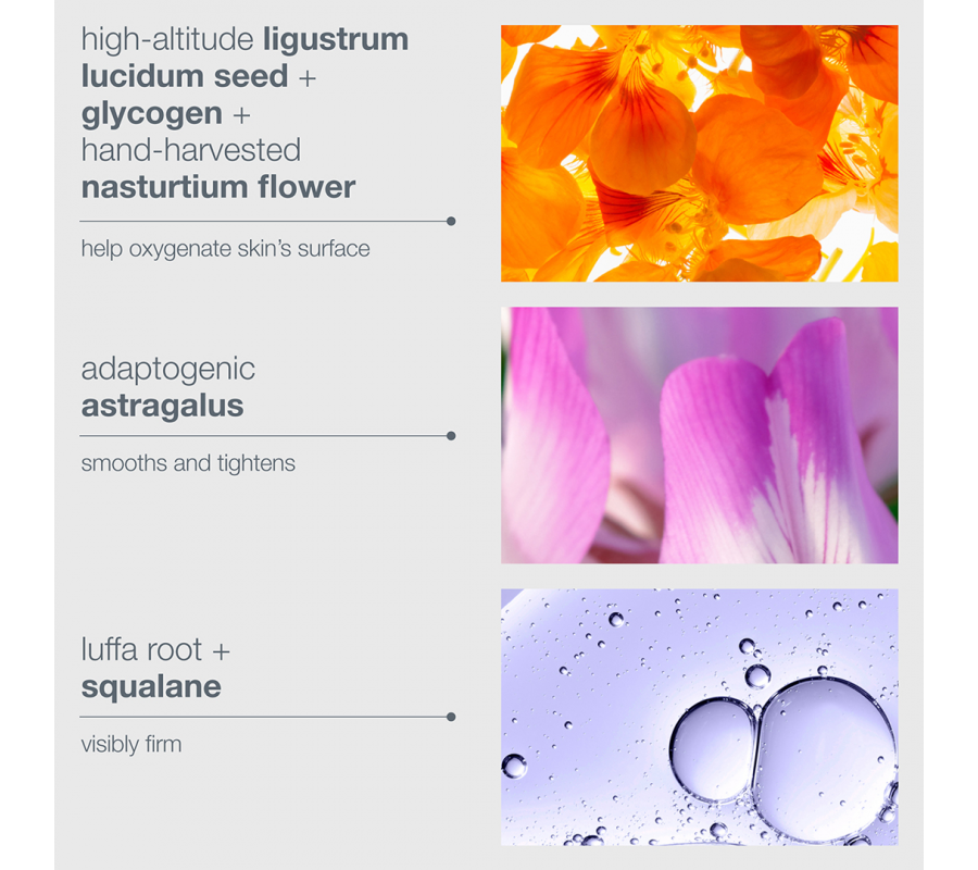 Dermalogica Phyto Nature Oxygen Cream — фітоактивний зволожуючий кисневий крем, 50 мл