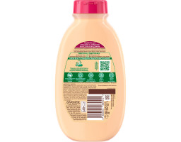 Шампунь для слабкого, схильного до випадіння волосся "Касторова Олія і Мигдаль" Garnier Botanic Therapy, 250 м