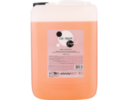 Шампунь для всіх типів волосся Frequent Ice Cream Daily Shampoo Inebrya, 10  мл