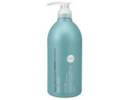Зволожуючий шампунь для волосся Salon Link Amino Acid Shampoo, 1000 мл