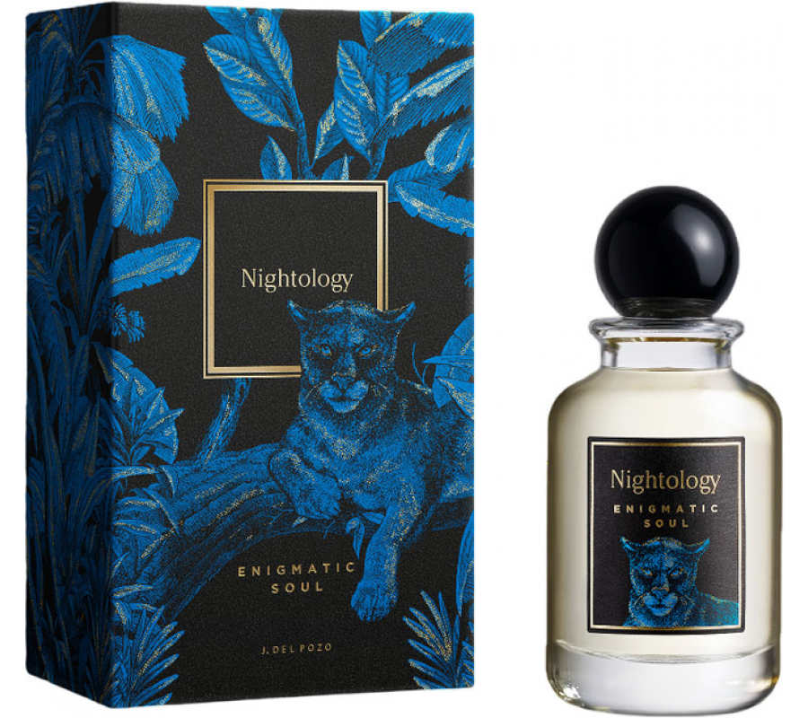 Nightology парфюмированная вода Enigmatic Soul 100 мл — купить в Украине