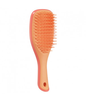 Щетка для волос Tangle Teezer The Ultimate Detangler Mini Salmon Pink & Apricot