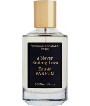 Thomas Kosmala Парфуми унісекс A Never Ending Love, 100 мл