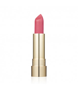 Матовая губная помада Pro HD Soft Matte Lipstick Topface 005,  4 г