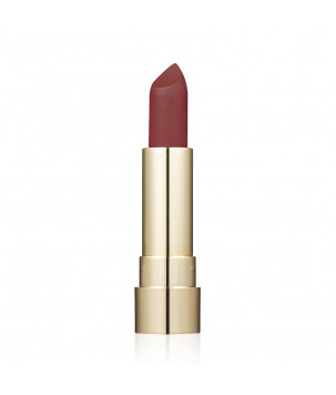 Матовая губная помада Pro HD Soft Matte Lipstick Topface 008,  4 г