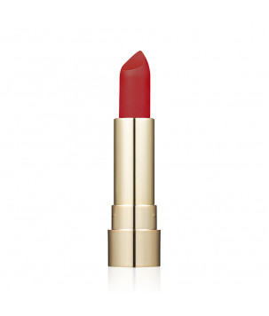 Матовая губная помада Pro HD Soft Matte Lipstick Topface 010,  4 г