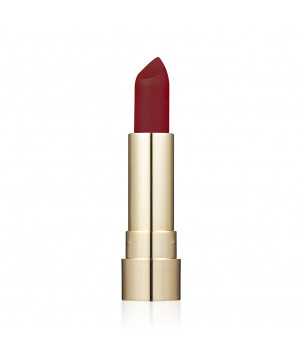 Матова губна помада Pro HD Soft Matte Lipstick Topface 015, 4 г