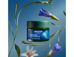 Weleda крем-контур нічний Blue Gentian Edelweiss Contouring Голуба генціана та едельвейс 40 мл купити в Україні