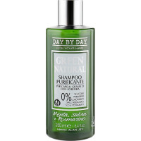 Шампунь очищувальний для жирного волосся з лупою green natural Alan Jey, 250 мл