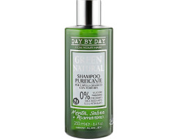 Шампунь очищувальний для жирного волосся з лупою green natural Alan Jey, 250 мл