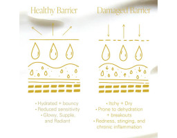 Крем восстановление защитного барьера чувствительной кожи Oat Yogurt Moisture Barrier Cream Byroe, 5