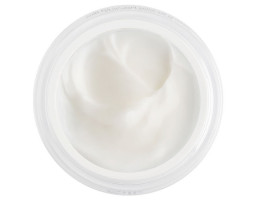Оновлювальний крем Silk UpGrade Cream Silk UpGrade Cream